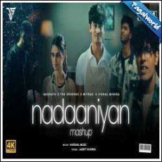 Nadaaniyan Mashup - Harshal Music Mp3